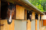 free Blackfield stable construction quotes